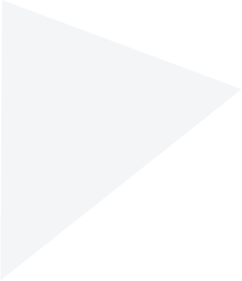 多语言字幕支持